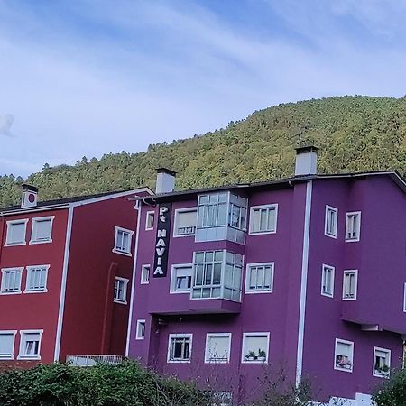 Pension Navia A Pontenova Bagian luar foto